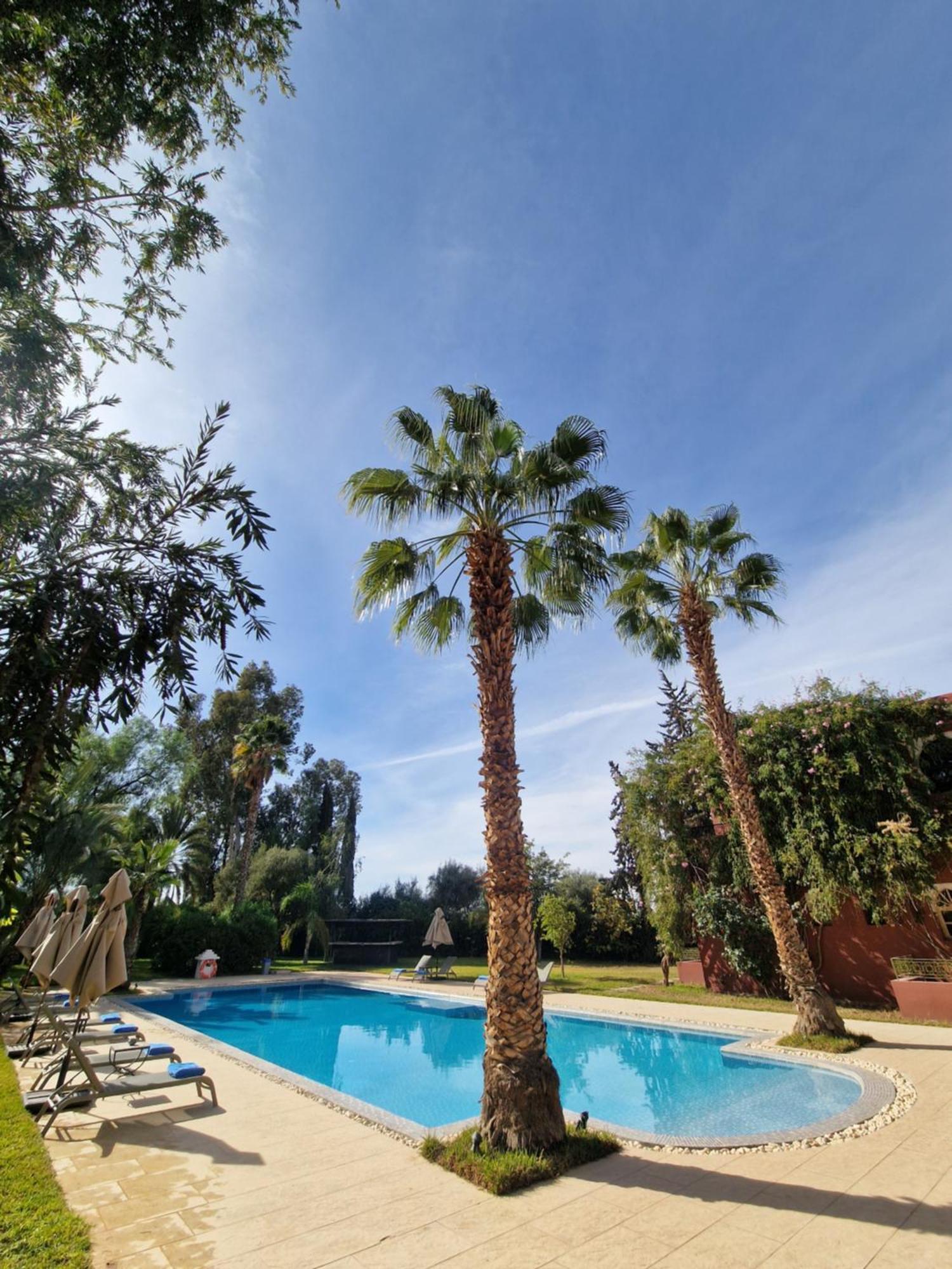 Palace Africa - Marrakech Palmeraie Dar Ilham Douar Blidene Εξωτερικό φωτογραφία