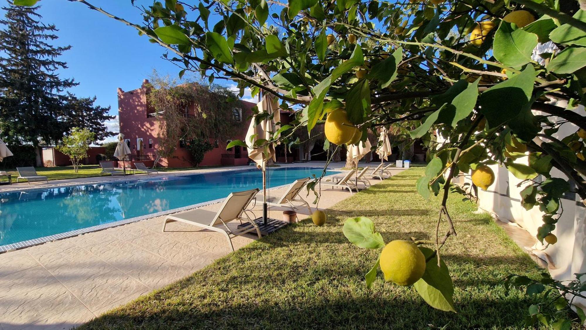 Palace Africa - Marrakech Palmeraie Dar Ilham Douar Blidene Εξωτερικό φωτογραφία